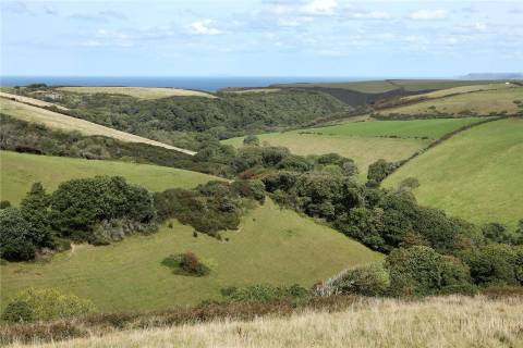 Property for auction in Cornwall