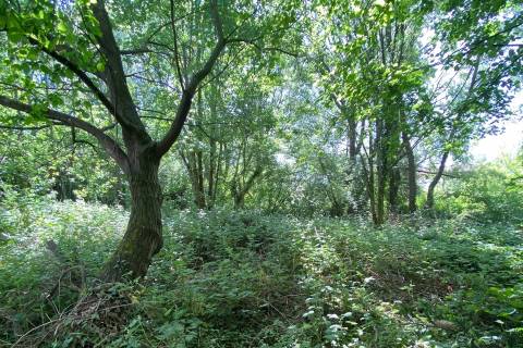 Property for auction in Wiltshire