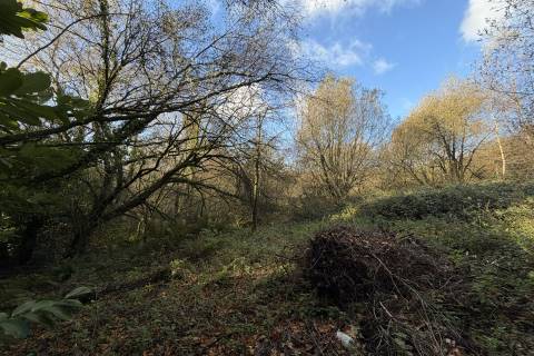 Property for auction in Devon