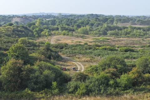 Property for auction in Hampshire