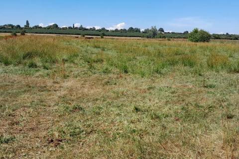 Property for auction in Somerset