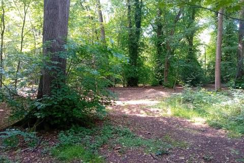Property for auction in Berkshire