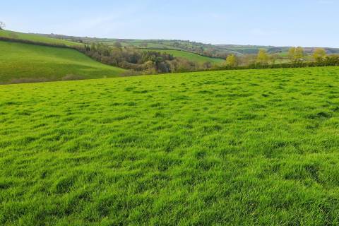 Property for auction in Cornwall