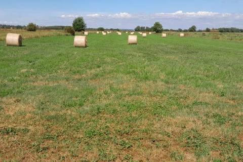 Property for auction in Somerset
