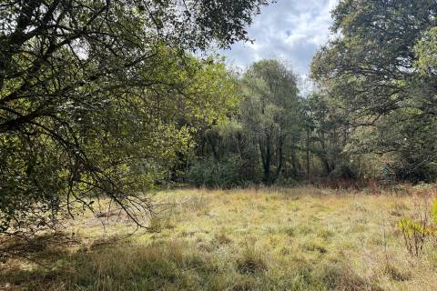Property for auction in Berkshire
