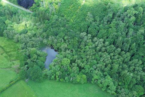 Property for auction in Dyfed