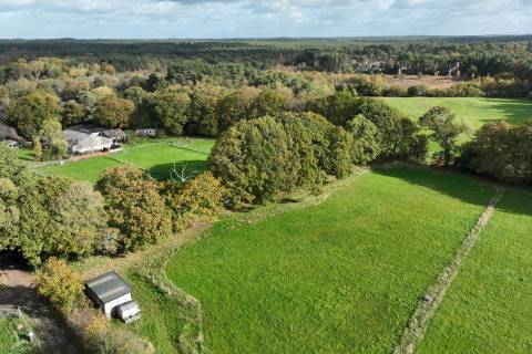 Property for auction in Hampshire