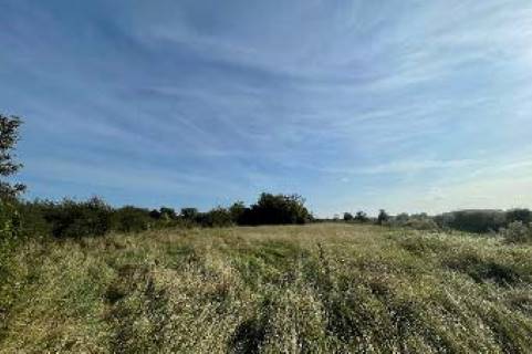 Property for auction in Somerset