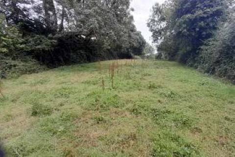 Property for auction in Somerset