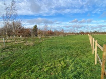 Property for auction in Norfolk