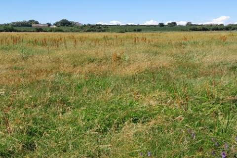 Property for auction in Somerset