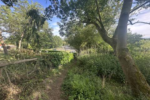 Property for auction in Norfolk