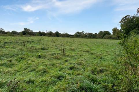 Property for auction in Somerset