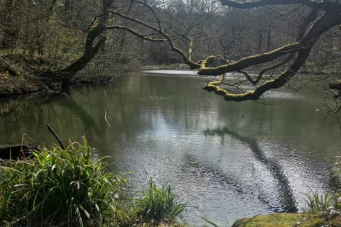 Property for auction in Kent