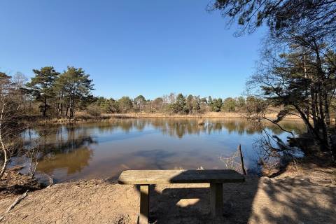 Property for auction in Dorset