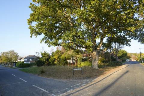 Property for auction in Middlesex