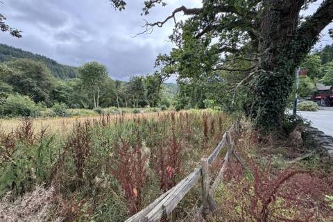 Property for auction in Clwyd