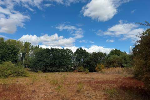 Property for auction in Berkshire
