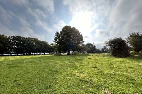 Property for auction in Dorset