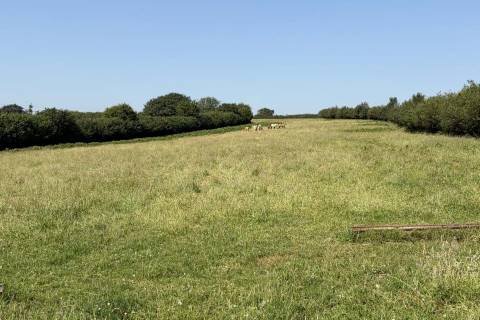 Property for auction in Cornwall