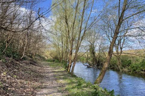 Property for auction in Dorset