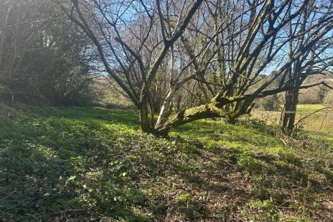 Property for auction in Wiltshire