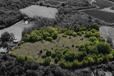 Property for auction in Kent