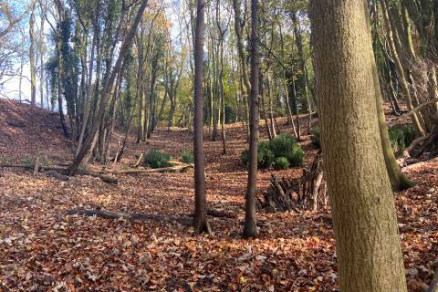 Property for auction in Wiltshire