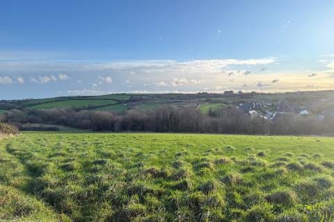 Property for auction in Cornwall