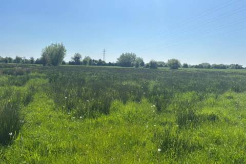 Property for auction in Somerset
