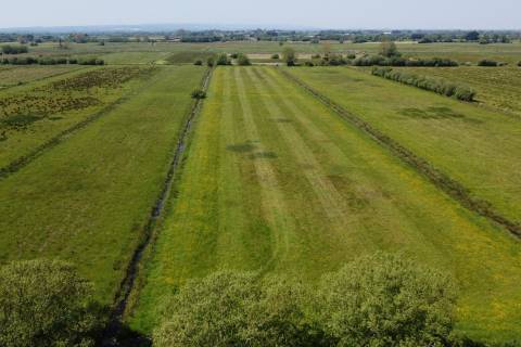 Property for auction in Somerset