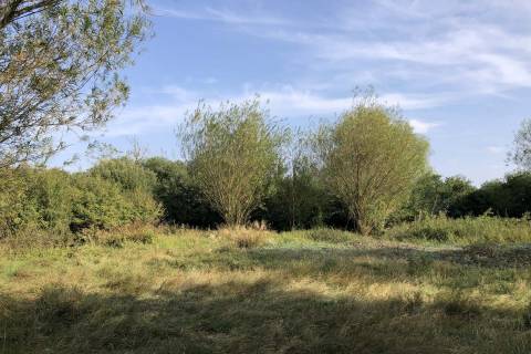 Property for auction in Somerset