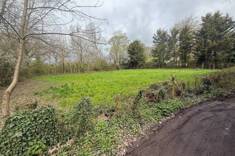 Property for auction in Essex