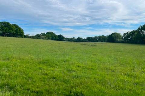 Property for auction in Hampshire