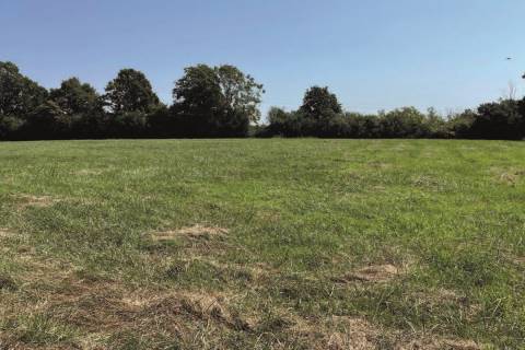 Property for auction in East Sussex