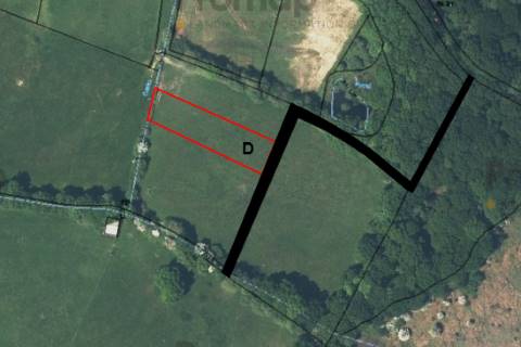 Property for auction in Hampshire
