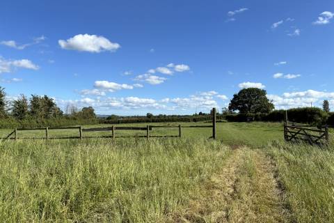 Property for auction in Somerset