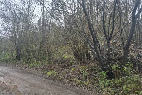 Property for auction in Kent