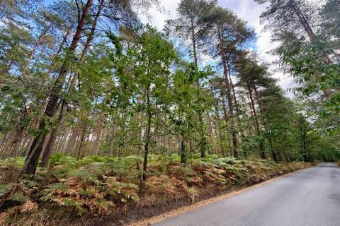 Property for auction in Kent