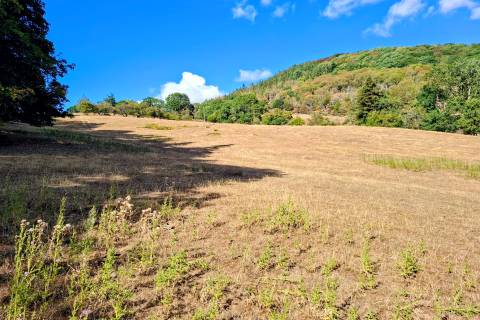 Property for auction in Powys