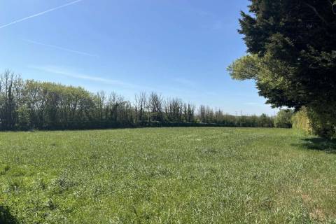 Property for auction in Somerset