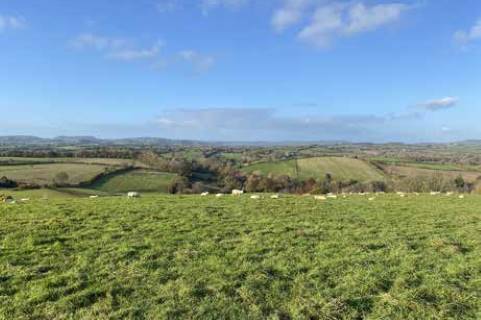 Property for auction in Dorset