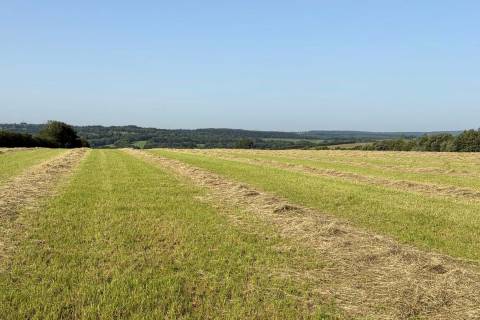 Property for auction in Devon