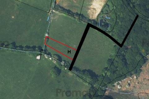 Property for auction in Hampshire