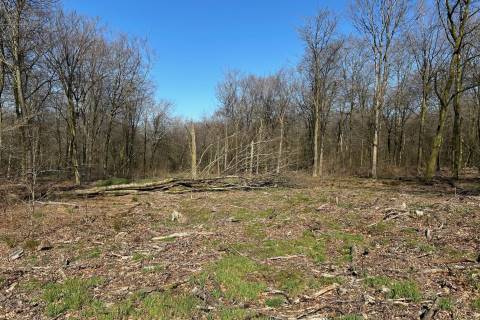 Property for auction in Somerset