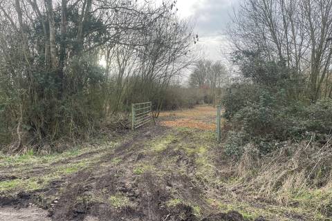 Property for auction in Norfolk