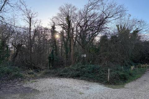 Property for auction in Hampshire