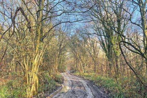 Property for auction in Surrey