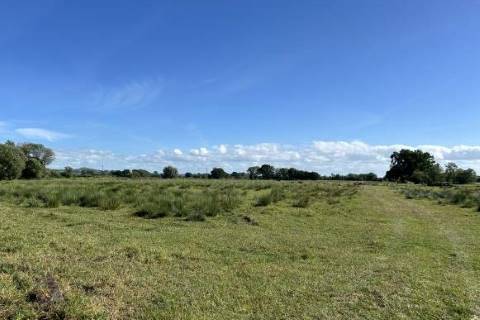 Property for auction in Somerset