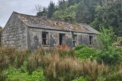 Property for auction in County Leitrim